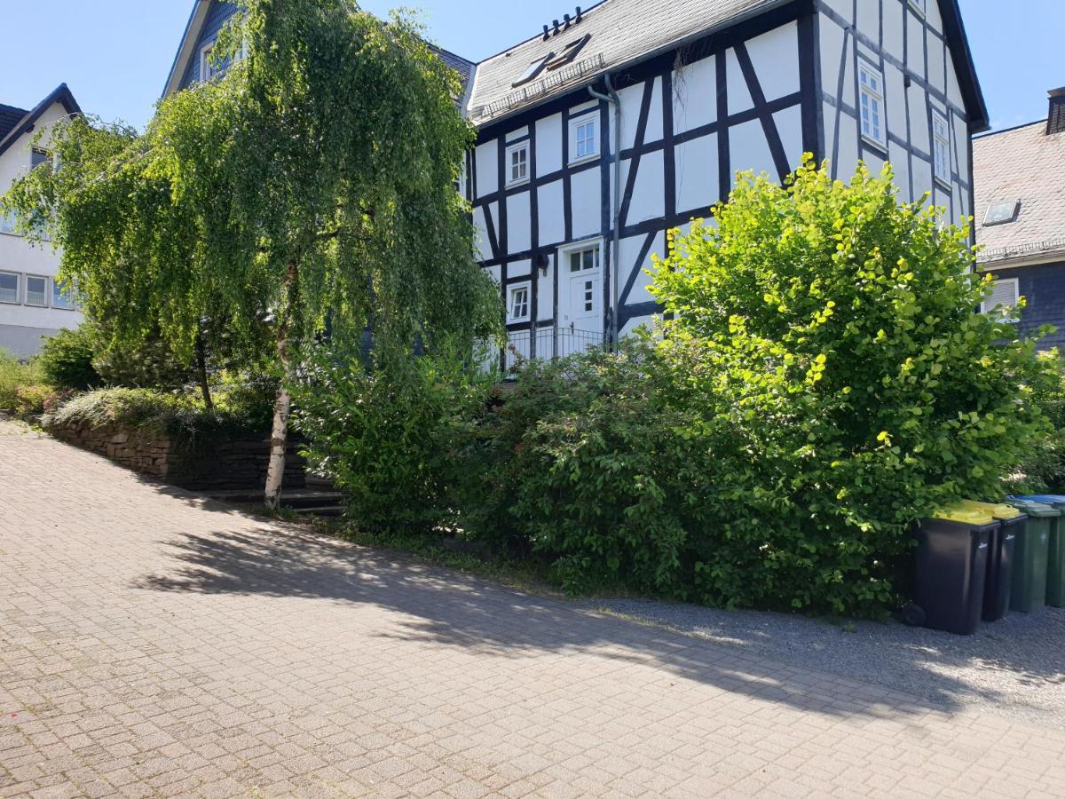 Neu Gemütliche Ferienhaus mit 3 Ferienwohnungen Max  ,  Leonore  und Beatrice Hallenberg Exterior foto