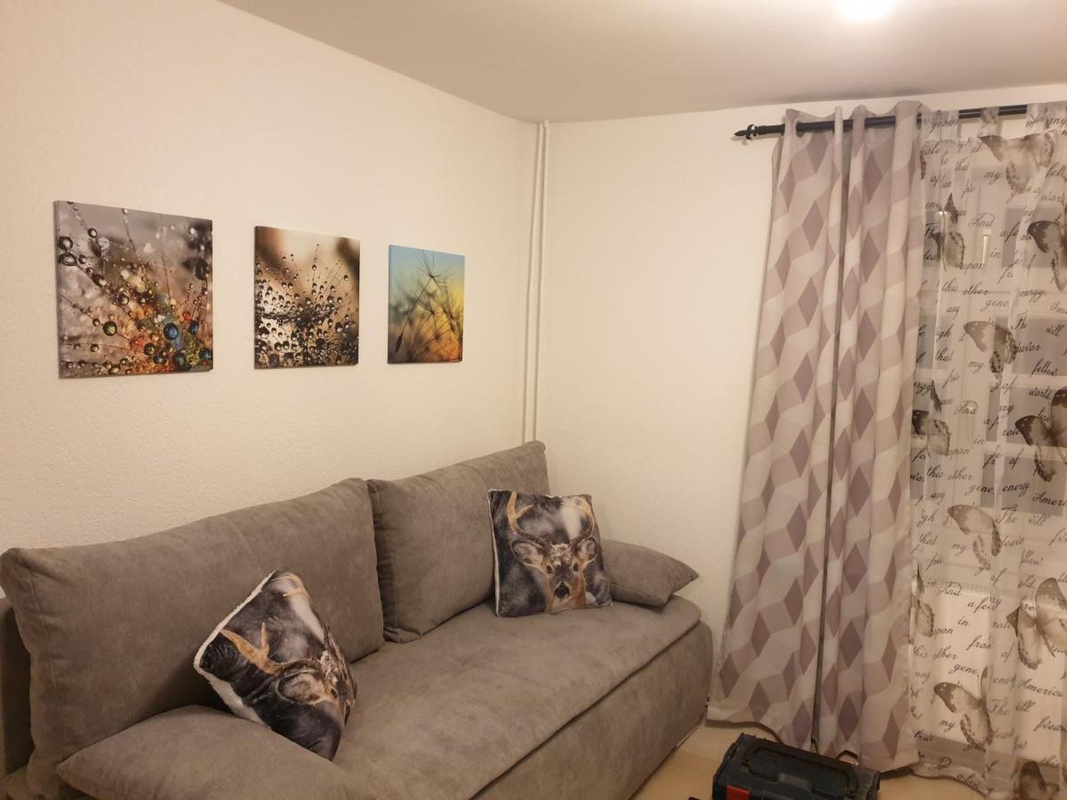 Neu Gemütliche Ferienhaus mit 3 Ferienwohnungen Max  ,  Leonore  und Beatrice Hallenberg Exterior foto
