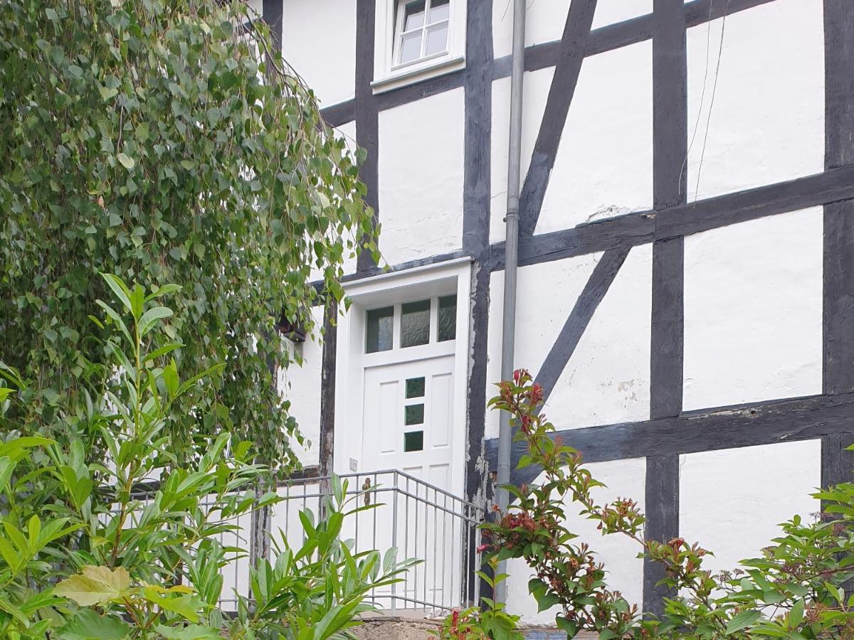 Neu Gemütliche Ferienhaus mit 3 Ferienwohnungen Max  ,  Leonore  und Beatrice Hallenberg Exterior foto